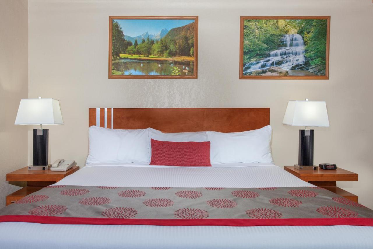 Econolodge Inn&Suites Medicine Hat Esterno foto